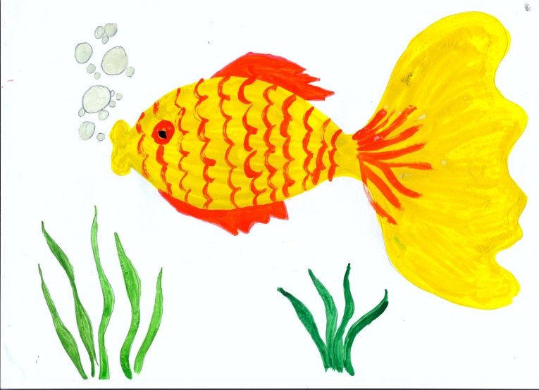 Конспект занятия рыбы в старшей группе. НОД рисоание «Золотая рыбка». Рисование рыбки в средней группе. Рисование рыбы в старшей группе. Рисование рыбы в подготовительной группе.