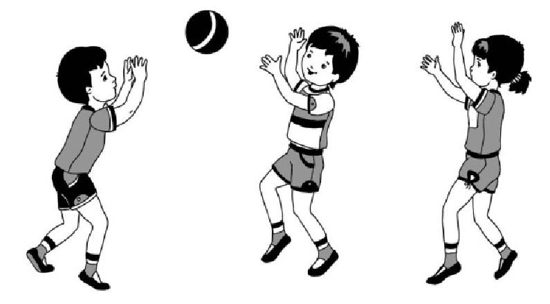 Лови движение. Упражнения с мячом для дошкольников. Подвижные игры с мячом. Схемы игр с мячом для дошкольников. Подвижная игра с мячом.